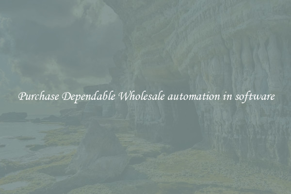 Purchase Dependable Wholesale automation in software