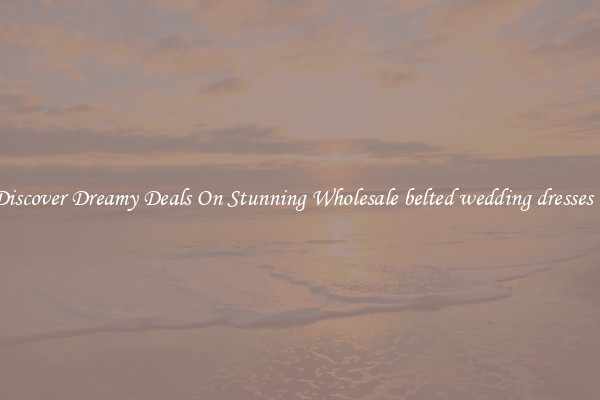 Discover Dreamy Deals On Stunning Wholesale belted wedding dresses 0