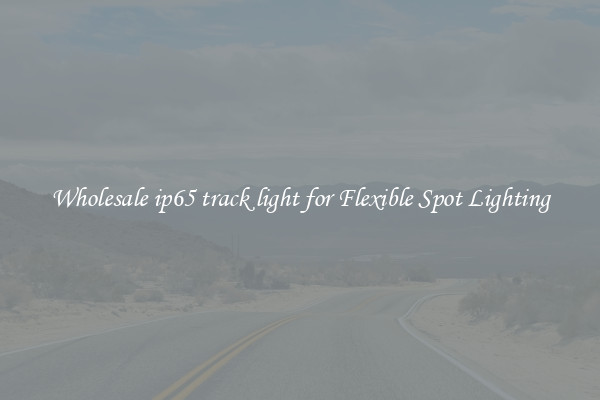 Wholesale ip65 track light for Flexible Spot Lighting