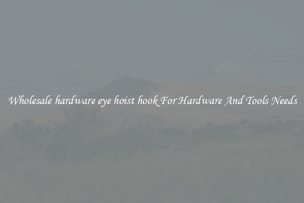 Wholesale hardware eye hoist hook For Hardware And Tools Needs