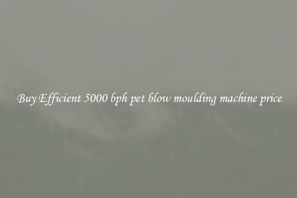 Buy Efficient 5000 bph pet blow moulding machine price