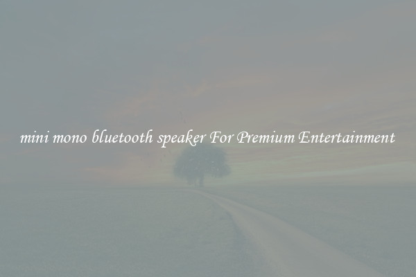 mini mono bluetooth speaker For Premium Entertainment 