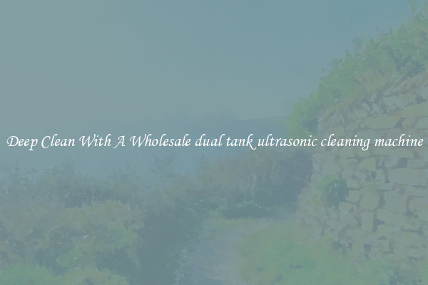 Deep Clean With A Wholesale dual tank ultrasonic cleaning machine
