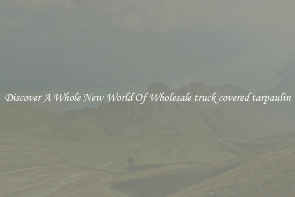 Discover A Whole New World Of Wholesale truck covered tarpaulin