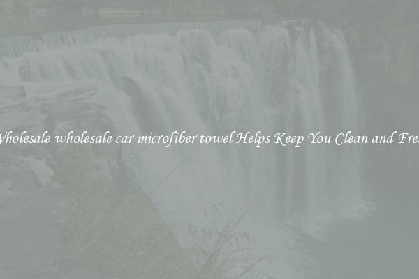 Wholesale wholesale car microfiber towel Helps Keep You Clean and Fresh