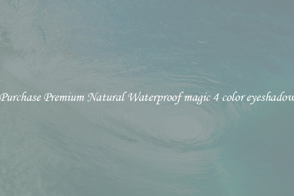 Purchase Premium Natural Waterproof magic 4 color eyeshadow
