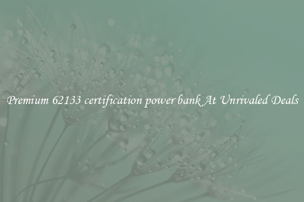 Premium 62133 certification power bank At Unrivaled Deals