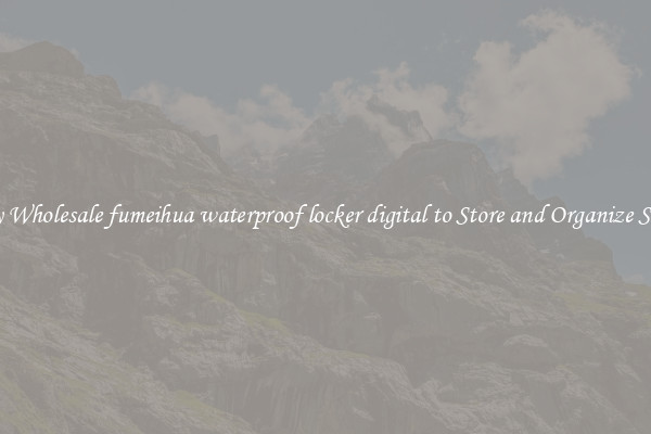 Buy Wholesale fumeihua waterproof locker digital to Store and Organize Stuff