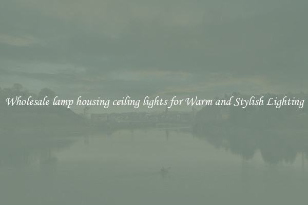 Wholesale lamp housing ceiling lights for Warm and Stylish Lighting