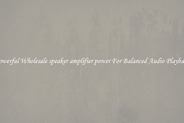 Powerful Wholesale speaker amplifier power For Balanced Audio Playback