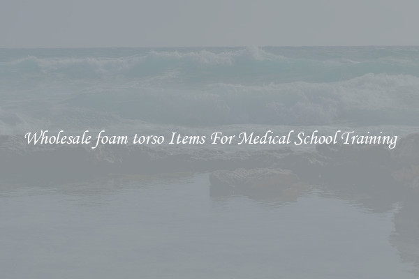 Wholesale foam torso Items For Medical School Training