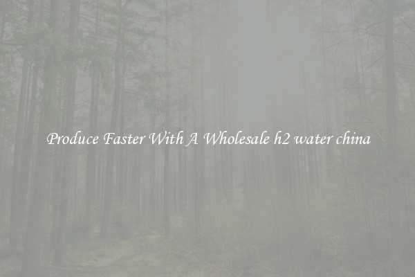 Produce Faster With A Wholesale h2 water china