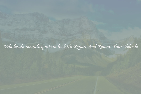 Wholesale renault ignition lock To Repair And Renew Your Vehicle
