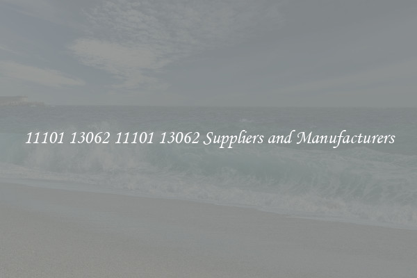 11101 13062 11101 13062 Suppliers and Manufacturers