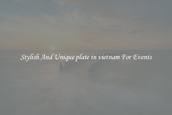 Stylish And Unique plate in vietnam For Events