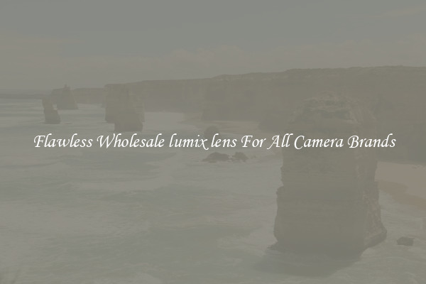 Flawless Wholesale lumix lens For All Camera Brands