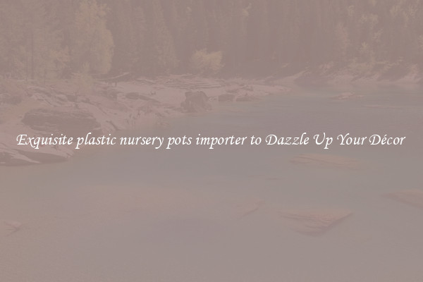 Exquisite plastic nursery pots importer to Dazzle Up Your Décor 
