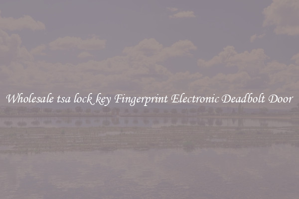Wholesale tsa lock key Fingerprint Electronic Deadbolt Door 