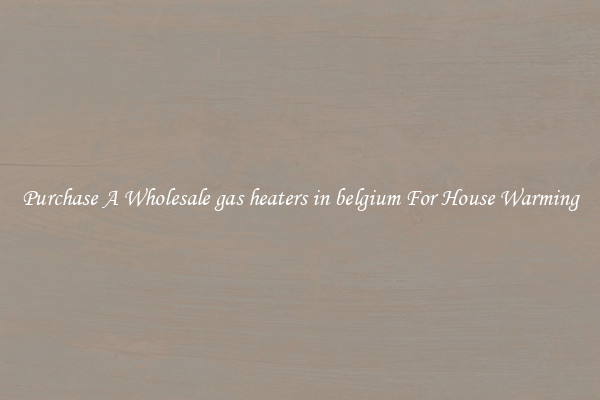 Purchase A Wholesale gas heaters in belgium For House Warming