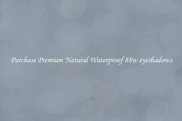 Purchase Premium Natural Waterproof 88w eyeshadows