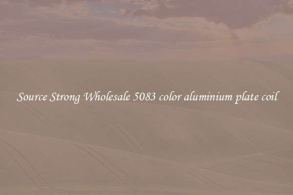 Source Strong Wholesale 5083 color aluminium plate coil