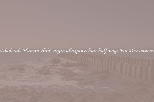 Wholesale Human Hair virgin aliexpress hair half wigs For Discreteness